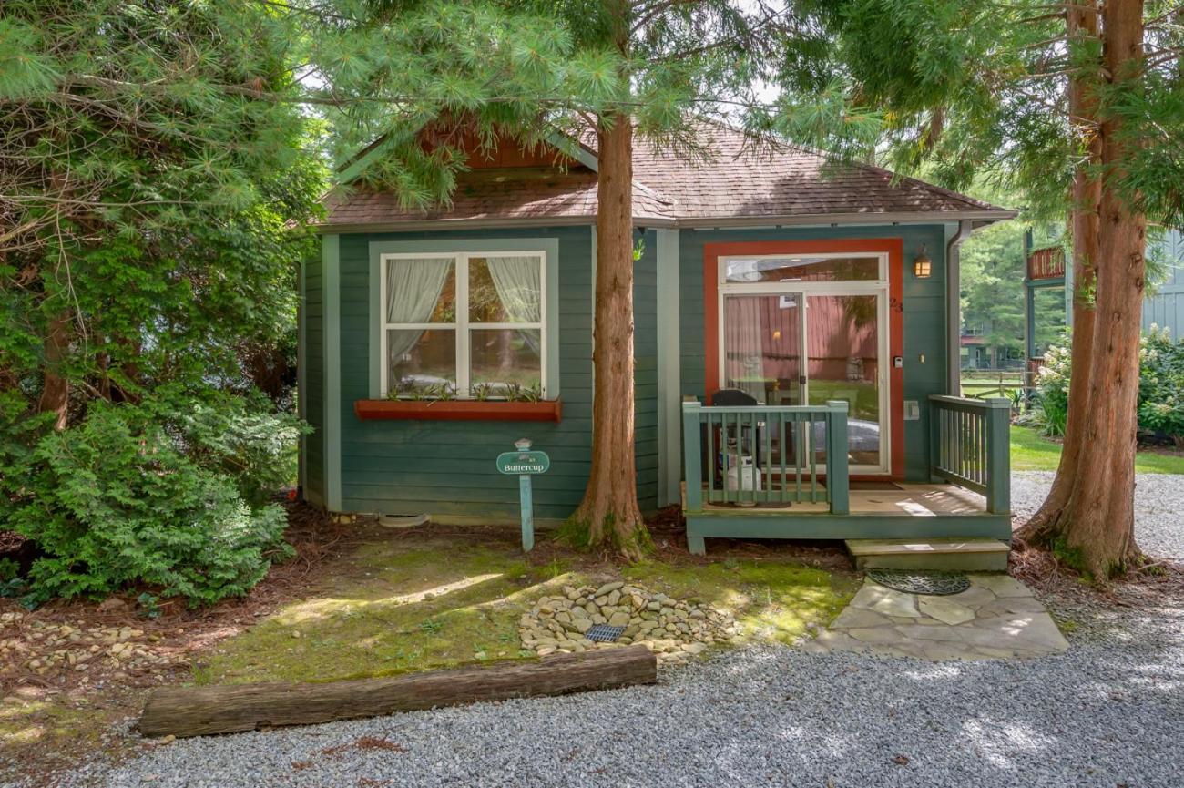 Buttercup Cottage Asheville Extérieur photo