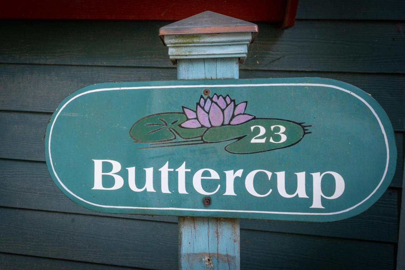 Buttercup Cottage Asheville Extérieur photo