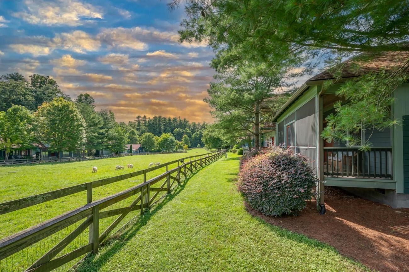 Buttercup Cottage Asheville Extérieur photo